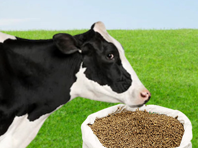 b2b cow, goat, poultry feed
